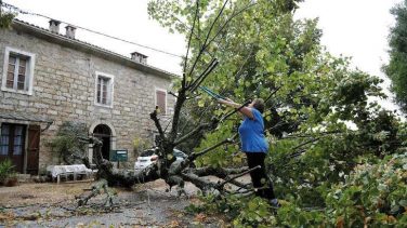 Şiddetli fırtına Avrupa’yı felç etti, 13 kişi öldü